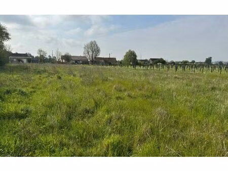 terrain godewaersvelde m² t- à vendre  181 000 €