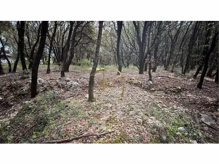 vente terrain à orgnac-l'aven (07150)  80 500 €