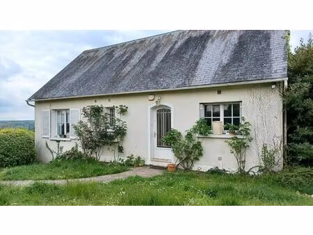 vente maison 3 pièces 75 m² montrichard val de cher (41400)