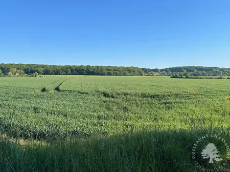 vente terrain 150000 m² à bourges (18000)  110 250 €