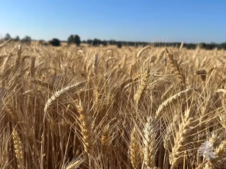 vente terrain 150000 m² à bourges (18000)  141 750 €