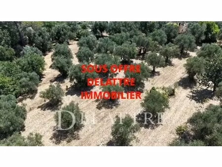 opio- a pieds du village de valbonne