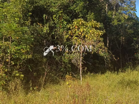 a vendre a montsinery une parcelle agricole de 10 000m²