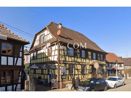 immeuble 677 m2 strasbourg ensemble immobilier - murs + fond
