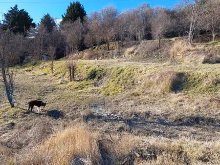 coursegoules  rare terrain constructible exposé sud