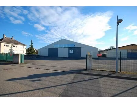 à louer – local d'activité de 980 m² à fegersheim