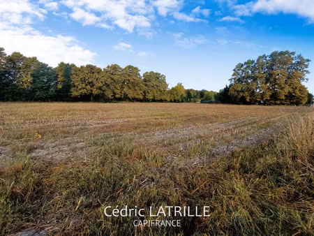 terrain à vendre tostat 770m2 30 000€