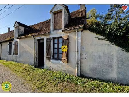 vente maison 4 pièces 25 m² blet (18350)