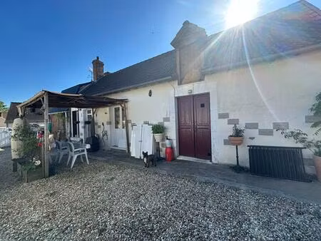 charmant ensemble immobilier à langé  idéal résidence principale + projet locatif ou famil