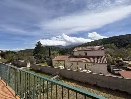 vente immeuble reynès 66400 - - surface privée