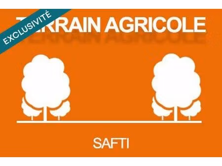 vente terrain 12035 m² aurec-sur-loire (43110)