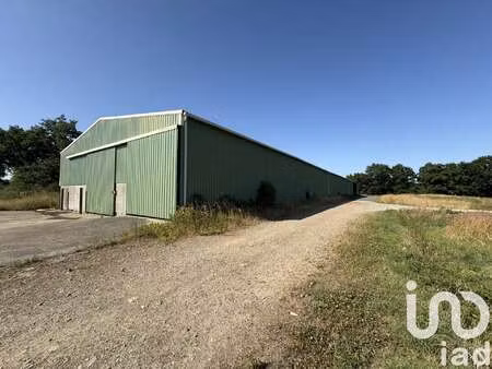 vente terrain à montaigu (85600) : à vendre / 6859m² montaigu