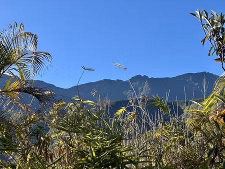 immeuble de 3 locaux + 2 apt salazie mare a vieille place