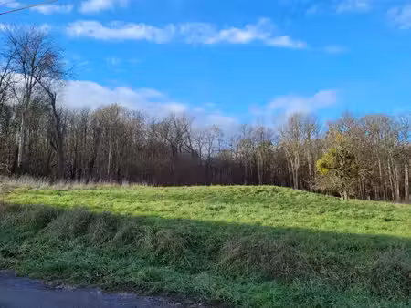 vente terrain 2247 m² appoigny (89380)