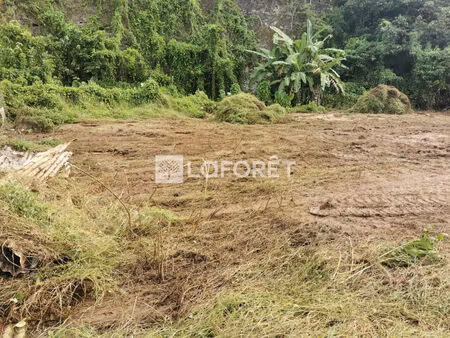 terrain plat de 1566 m2 constructible aux abymes