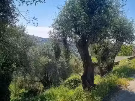 vente terrain 1161 m² à colomars (06670)  190 000 €