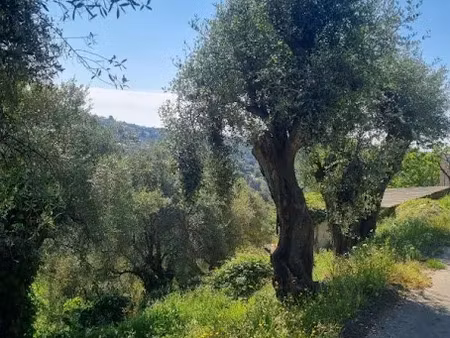 vente terrain à batir 1161 m² à colomars (06670)  200 000 €