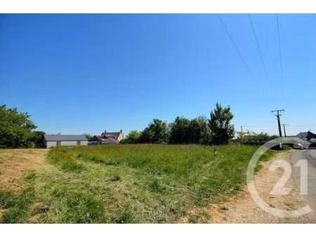 terrain à vendre - 1350 m2 - danze - 41 - centre