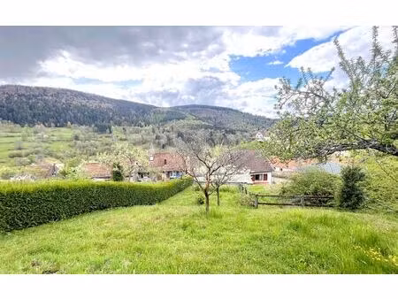 maison natzwiller 174 m² t-5 à vendre  159 000 €