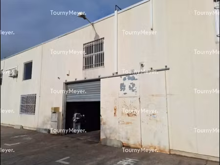 locaux d'activités a louer