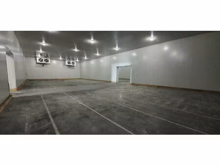 locaux zone artisanale 1600 m2  3 hangars  bureaux  et salles