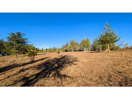 terrain de 8 009 m² à villaniere