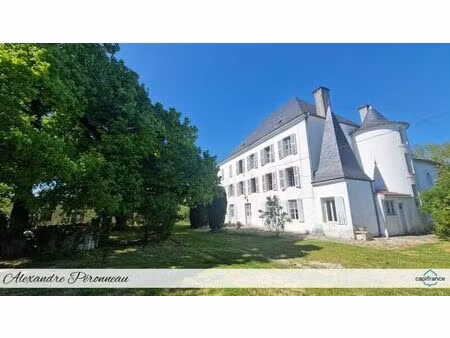 vente commerce 15 pièces 373 m² ruffec (16700)