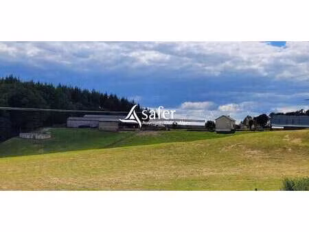 maison avec jardin prunet (15)