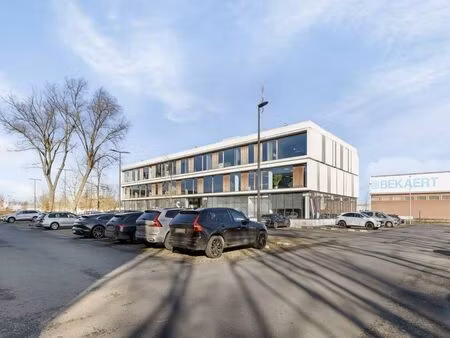 bien professionnel à louer à zwevegem € 4.400 (l7a1b) | zimmo