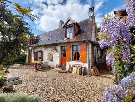 vente maison 3 pièces 72 m² mézières-en-brenne (36290)