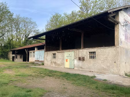 location commerce 215 m² à saint-georges-de-reneins (69830)