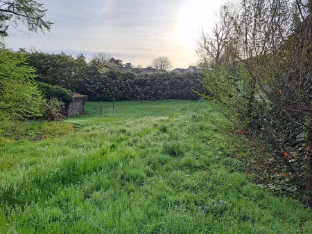 vente terrain 1000 m² rochetaillée-sur-saône (69270)