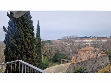 grand t3 loué terrasse cave parking