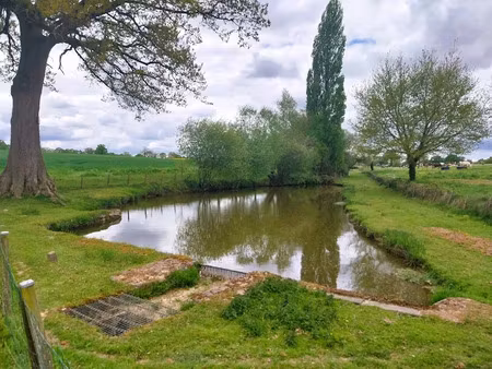 vente terrain 3665 m² à marpiré (35220)  25 000 €