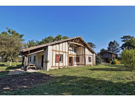 propriété landaise sur 4 hectares composée de 3 habitations