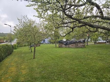 vente terrain 847 m² walbourg (67360)