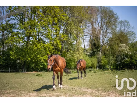 vente propriété 5 pièces 142 m² à quetteville (14130)  420 000 €