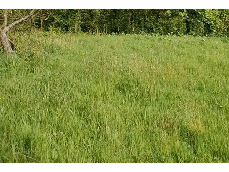 vente terrain 391 m² fécamp (76400)