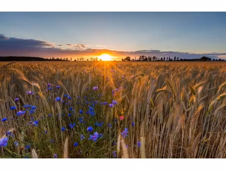 vente terrain 1780 m² à les pins (16260)  21 000 €