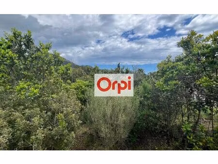 terrain zonza m² t- à vendre  298 000 €