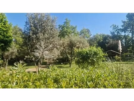 vente terrain 3000 m² opio (06650)