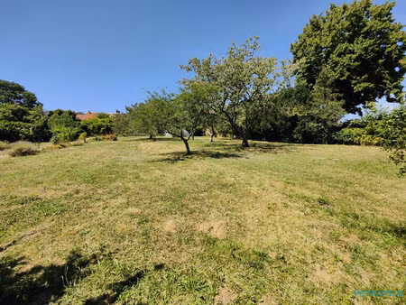 terrain constructible arbore et divisible