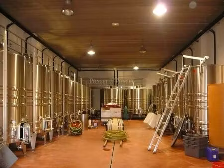 maison de campagne exclusive de 100 m2 en vente faugères  france