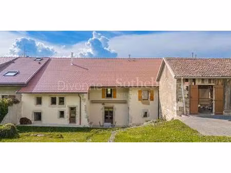 maison avec jardin et terrasse neydens (74)