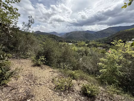 vente terrain 5780m2 reynès 66400 - 19000 € - surface privée