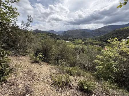 vente terrain 5780m2 reynès 66400 - 9000 € - surface privée