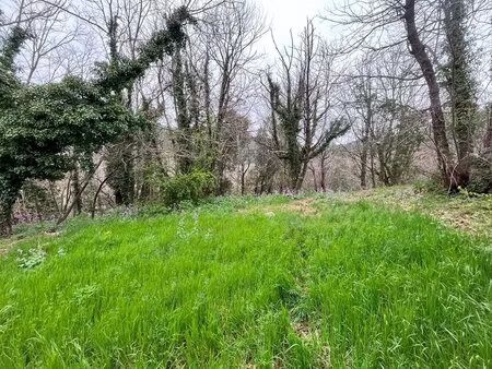 terrain constructible