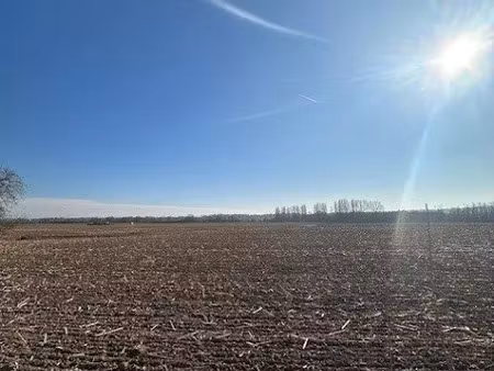 vente terrain 505 m² à la maxe (57140)  100 000 €