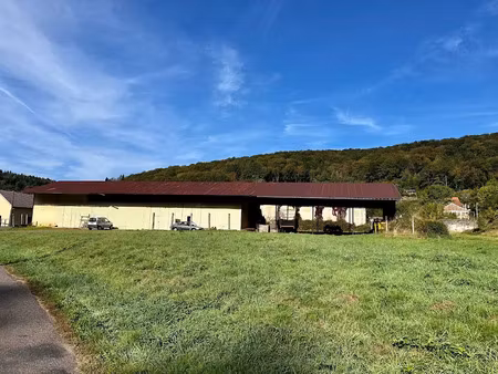vente locaux professionnels 0 pièces 3700 m² à saint-bresson (70280)  220 000 €