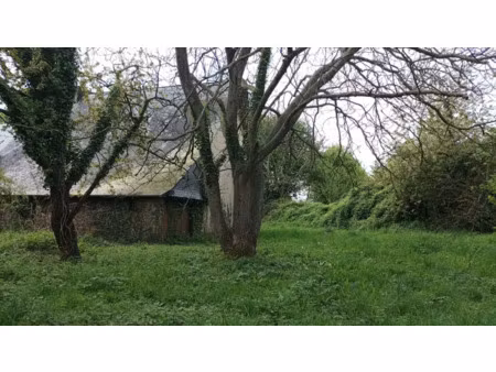 vente ferme 1 pièce 67.85 m² à drouges (35130)  37 500 €